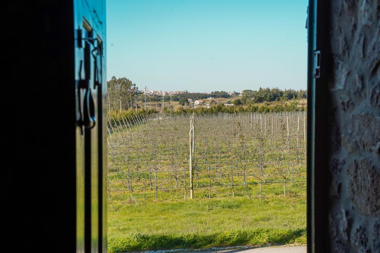 Casa Rustica, Perto Do Castelo De Obidos Βίλα Εξωτερικό φωτογραφία
